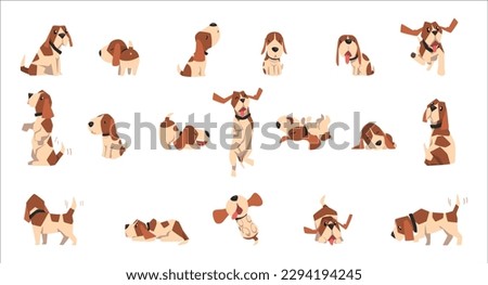 Basset Hound dog big set. Cute funny pet animal in various poses cartoon vector Illustration