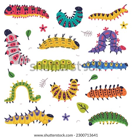 Bright Caterpillars as Larval Stage of Insect Crawling and Creeping Vector Set