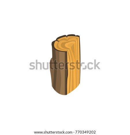 Dissected part of tree trunk isolated on white background