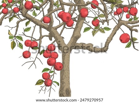 Similar – Image, Stock Photo Apple tree in autumn in a garden with an old farmhouse in the old town of Oerlinghausen near Bielefeld on the Hermannsweg in the Teutoburg Forest in East Westphalia-Lippe