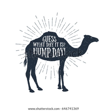 Hand drawn label with textured camel vector illustration and 'Guess what day it is? Hump day!' funny lettering. Imagine de stoc © 