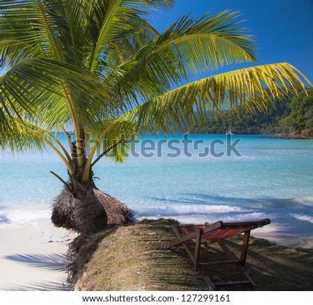 Chair on the shadow of palm tree. Summer beach.