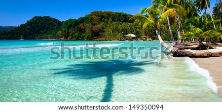 Palm tree shadow in sea water