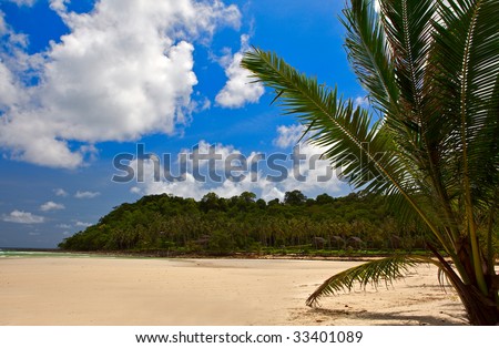 beautiful tropical scene at a beach