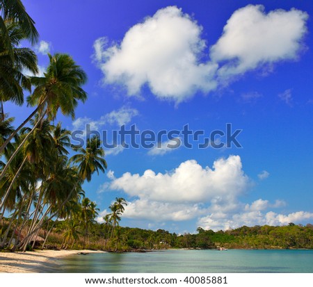 Family beach, summer holiday, sea water, child place, beach house, palms tree