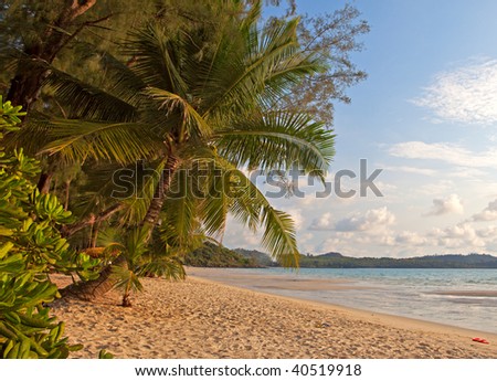 Palms tree on the tropical beach, sand for baby game and pacific sea water for swimming