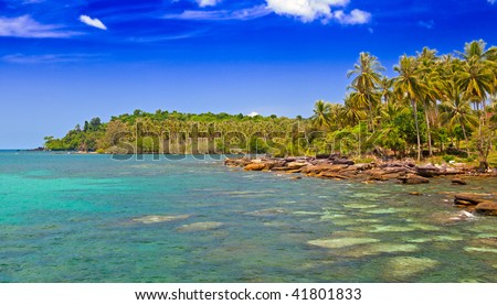 Tropical family hotel with sea water and stone, palm tree and white sand with blue sky