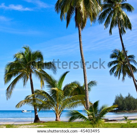 Tropical Beach with coconut palm trees and turquoise ocean