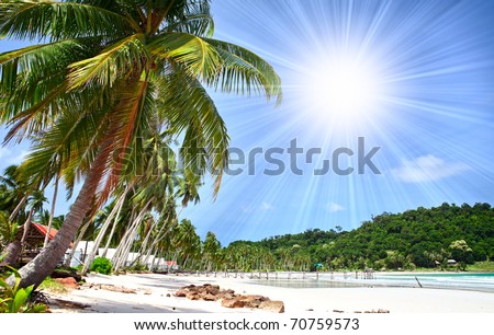 Palm trees on white sand beach under blue sky with bright sun and island in the sea