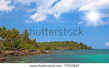 Clear blue sea water and palm trees island under the sun. Summer nature.
