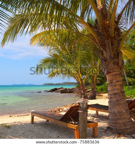 chair on palm tree shadow on the beach