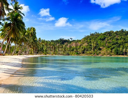 Beautiful Beach On Tropical Coastline And Palm Trees On The Sand ...