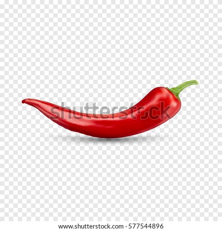 Red hot natural chili pepper pod realistic image with shadow vector illustration. Design for grocery, culinary products, seasoning and spice package, recipe web site decoration, cooking book.