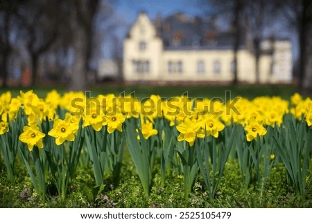 Similar – Image, Stock Photo Somewhere Nature Meadow