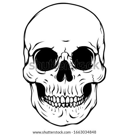 Minecraft Skeleton Face Clipart Skeleton Face Clipart Stunning Free Transparent Png Clipart Images Free Download