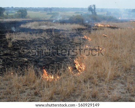FEBRUARY 2011 - UGANDA: slash and burn farming in rural Uganda, Africa.