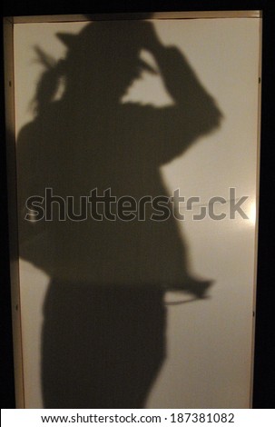 MAY 5, 2005 - BERLIN: a shadow looking like Michael Jackson in a a scene of the theater performance  