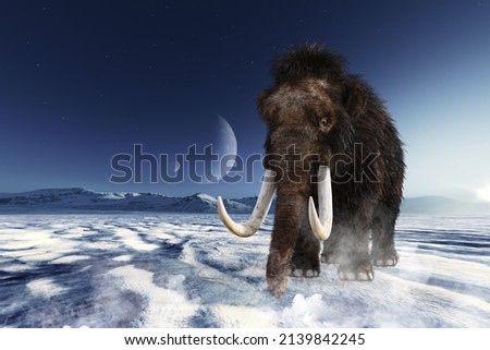 Similar – Image, Stock Photo ice age | is always