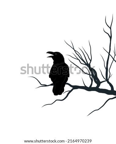 Black crow on brunch of tree. Silhouette of raven, element for Halloween. Vector illustration isolated from background.
