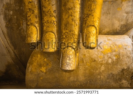 Similar – Image, Stock Photo Buddha face covered with tree roots