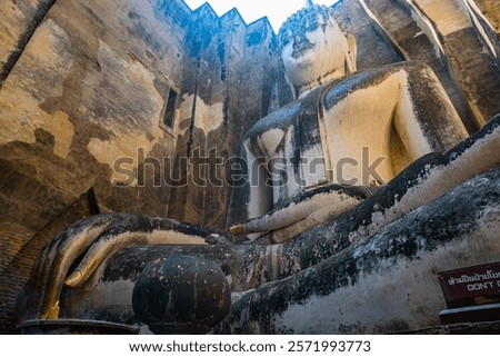 Similar – Image, Stock Photo Buddha face covered with tree roots