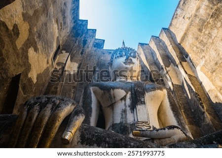 Similar – Image, Stock Photo Buddha face covered with tree roots