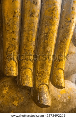 Similar – Image, Stock Photo Buddha face covered with tree roots