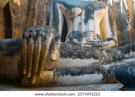 Similar – Image, Stock Photo Buddha face covered with tree roots