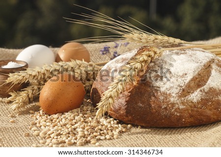 bunch an ear of wheat. background blur.sheaf of wheat. bunch. cloth burlap. bread and salt and eggs