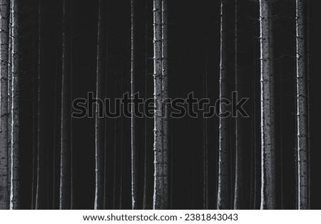 Similar – Image, Stock Photo Winter forest with tree trunks