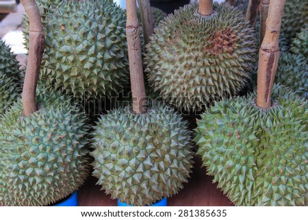 Durian Fruit / King of fruits in Southeast Asia , market in Chanthaburi,Thailand