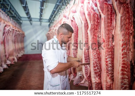 Red meat cold storage. Butcher with knife standing by hanging pig carcasses. Meat processing plant.  Сток-фото © 
