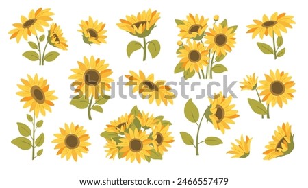 Summer sunflowers set. Single sunflower, bouquet of sunflowers. Vector icons in flat style