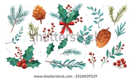 Botanical winter plants set. Christmas flowers, holly, berries, spruce and pine branches. Vector elements