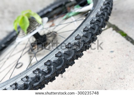 Details of bike wheel lying on the ground, with green leaves springing up from the gear cassette.