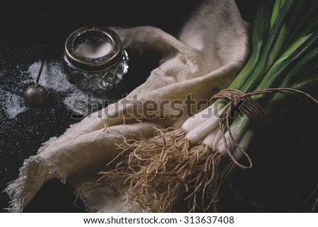 Scallions and salt on light textiles on a black wooden background