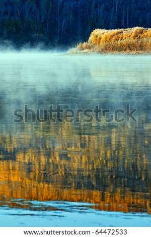 Lake, forest and fog
