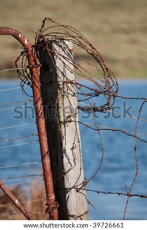 Old barbwire fence and gate #1