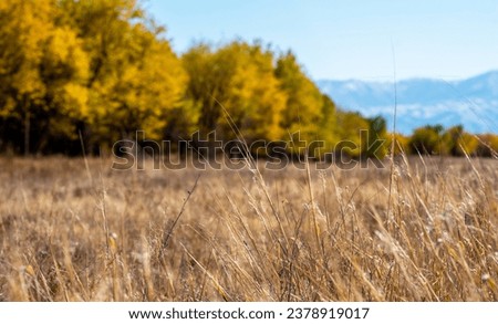 Similar – Image, Stock Photo Amazing scenery with waving sea