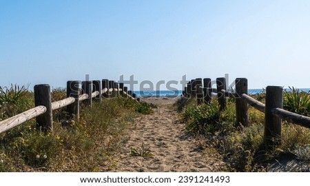 Similar – Image, Stock Photo Path through the dunes with a view of the beach of the North Sea