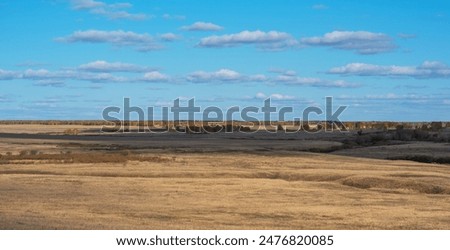 Similar – Image, Stock Photo Autumn field under cumulus clouds in sunlight