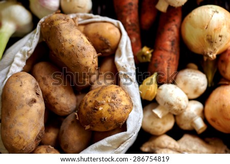 harvested in the autumn harvest of potatoes is in a canvas bag, the farmer has prepared for sale grown in their area potatoes, carrots, garlic, vegetables non-GMO