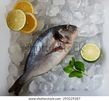 Cook freeze gilt-head bream  fresh fish for further preparation, Fresh Dorada lies in the tray of ice, fishermen brought to the restaurant just caught in Oken Dourado