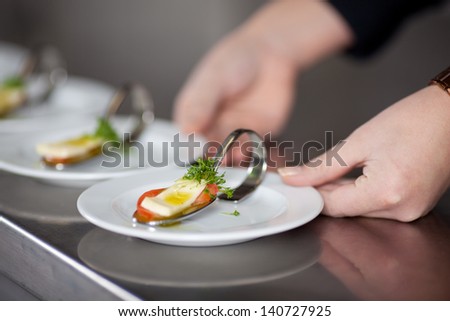 Closeup od chef\'s hands holding starters at commercial kitchen counter