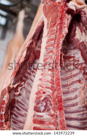 close up of beef hanging in cold room