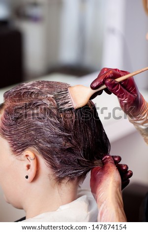 Hands of a female hairdresser tinting the hair of a client in a hairstyling salon applying the paste with a brush