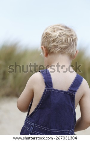 Rear view of little boy in bibs overalls at beach