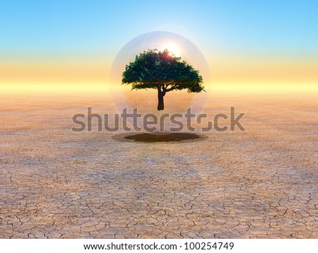 tree in a bubble symbol of nature conservation