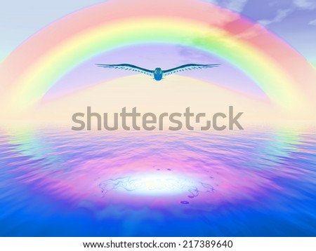 a dove flying over the sea  under a rainbow