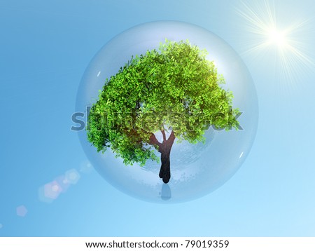 a tree in a bubble
